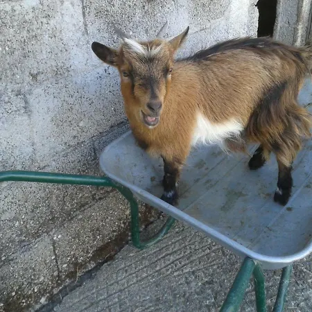 Fermer Non Reservable בית נופש Maurs